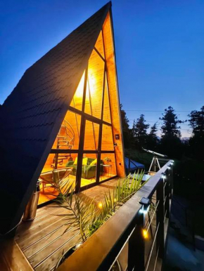 wooden house